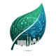 EcoVision